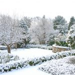 Winterize your garden from Kerr & Kerr Landscaping in Cambridge