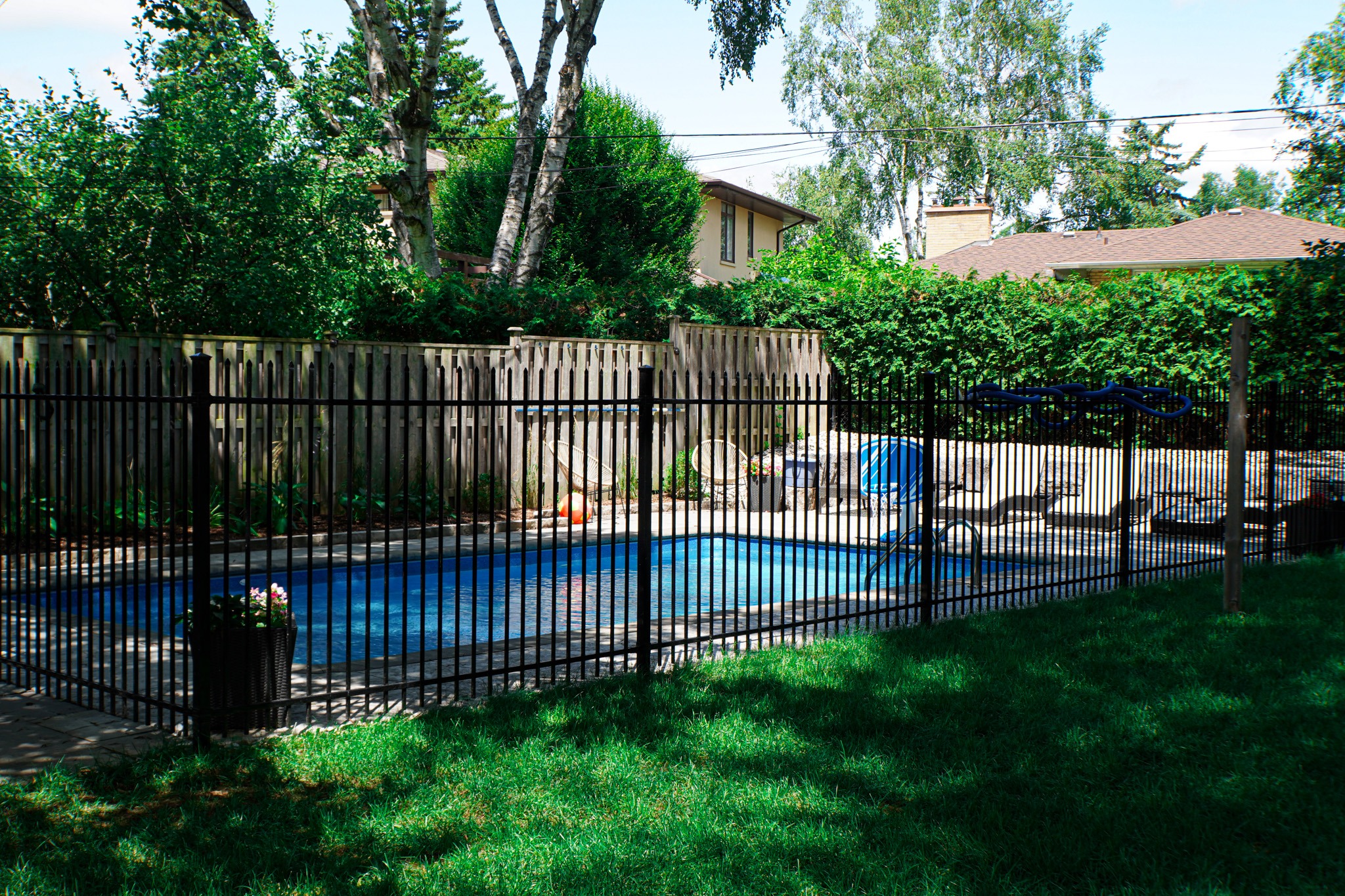 This image shows a suburban backyard with a blue swimming pool surrounded by a black fence, lush greenery, and part of a house visible behind trees.