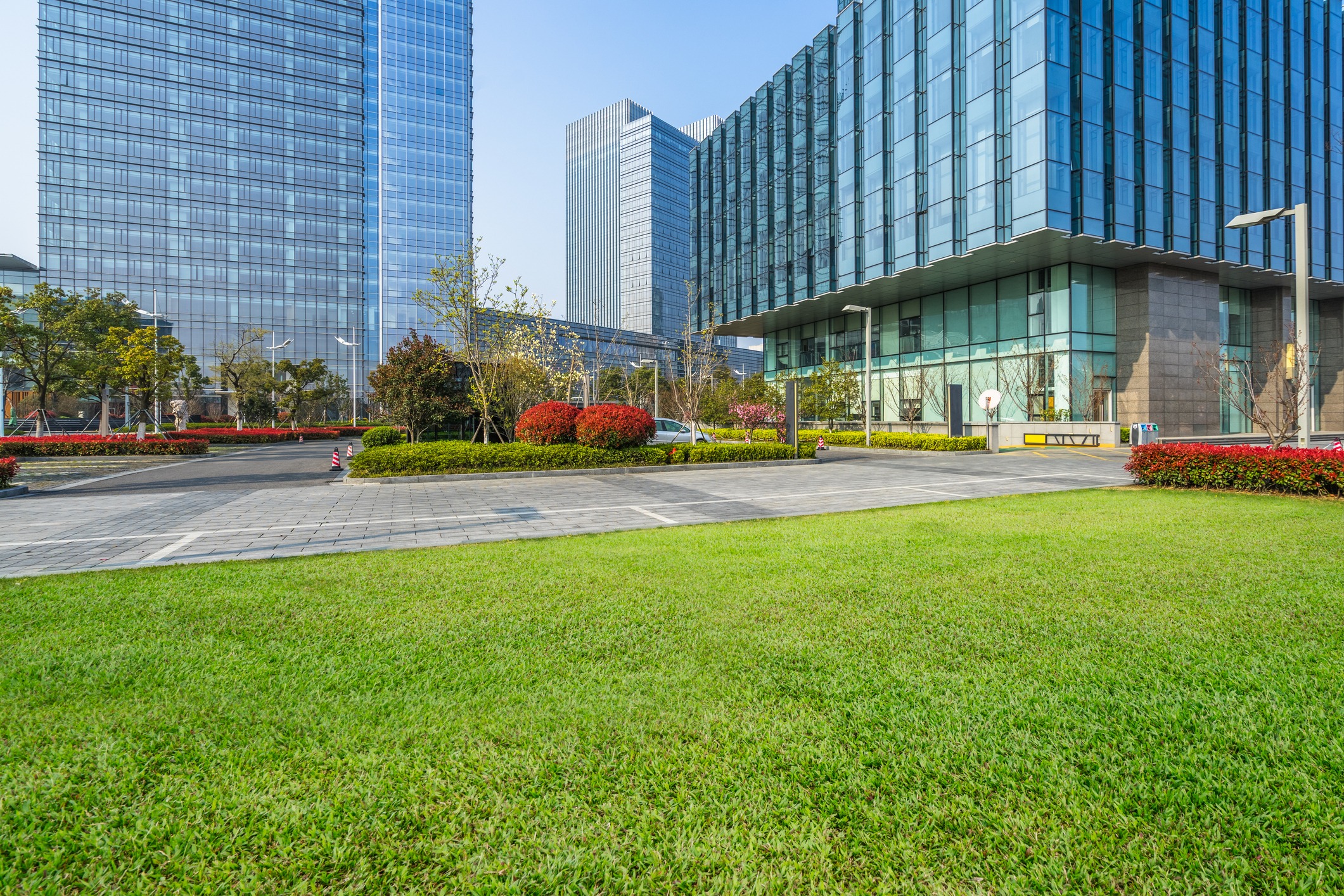 This image shows a modern urban landscape with lush grass, landscaped flowerbeds, a paved area, and reflective glass office buildings under a clear sky.