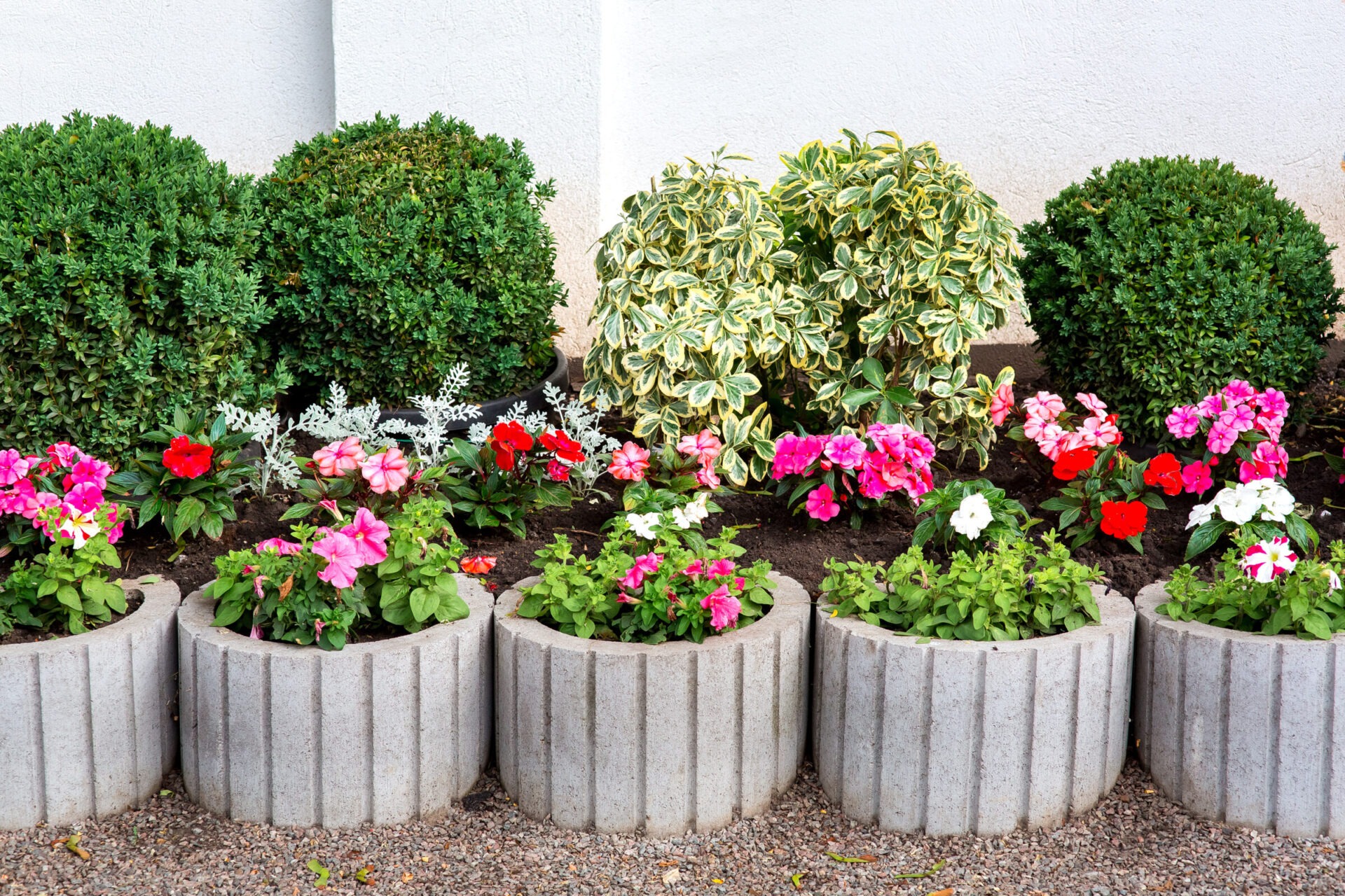 The image shows a neat garden with colorful flowers in concrete planter rings and shrubs against a white wall, symbolizing organized outdoor design.