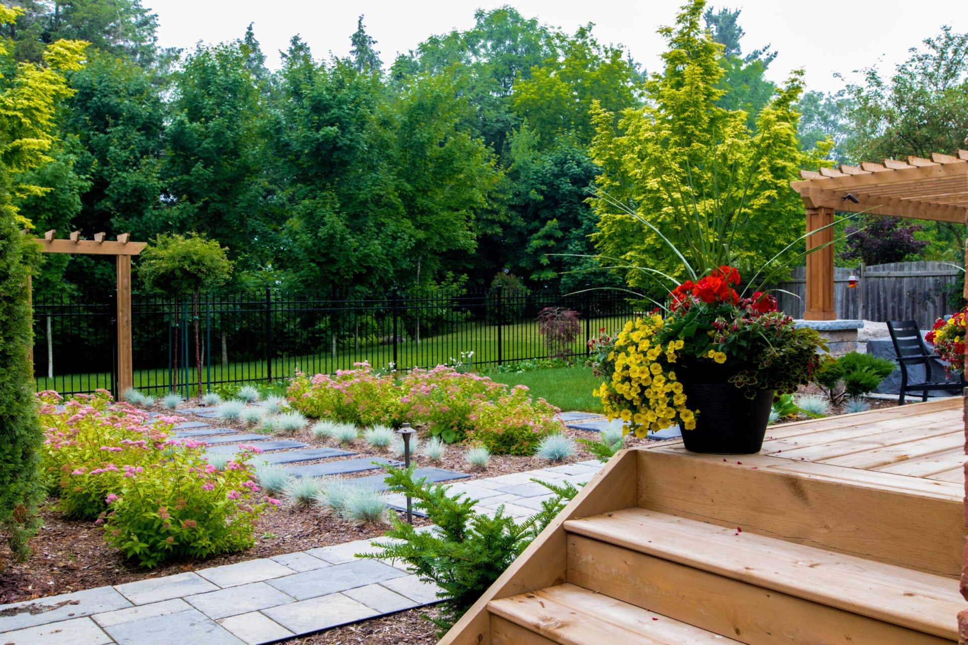 Professionally landscaped backyard featuring a modern stepping stone path bordered by ornamental grasses and pink flowering shrubs, with a wood pergola and tiered planters adding structure and color near a natural privacy backdrop of mature trees.