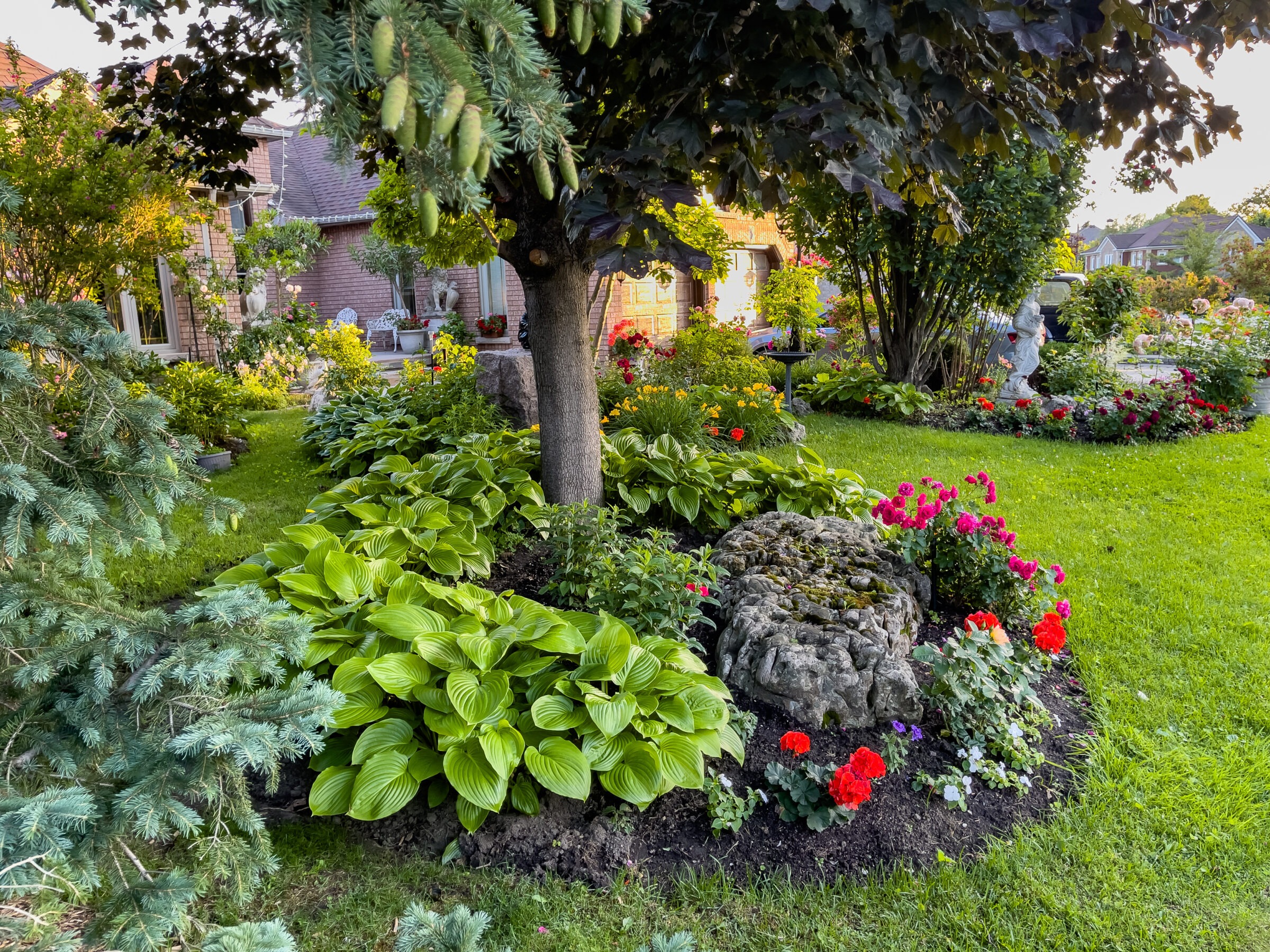 Front yard garden with vibrant flower beds, large hosta plants, and mature trees surrounding a stone feature and manicured lawn.