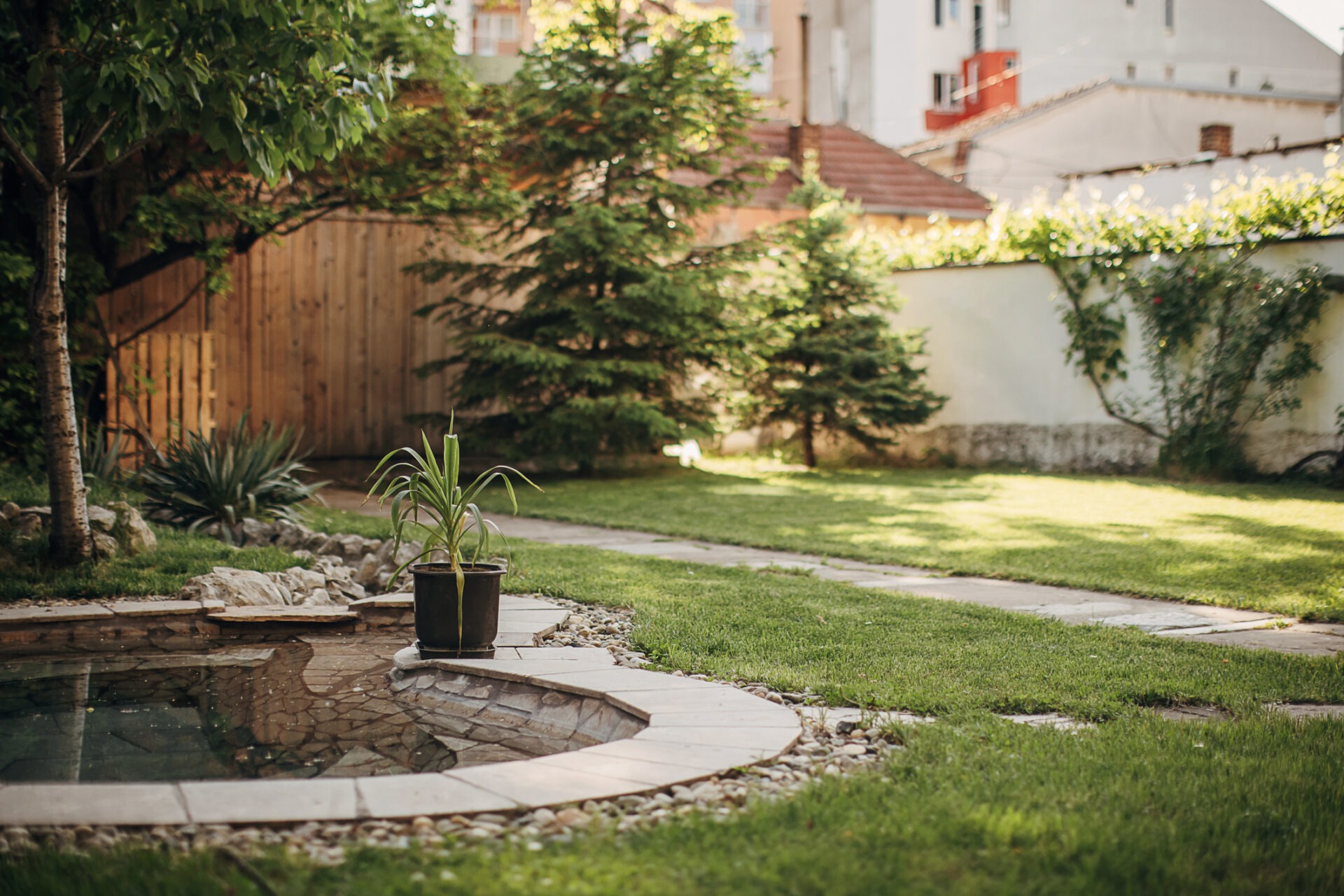 Backyard with small stone-edged pond, grassy lawn, evergreen trees, and privacy fence.