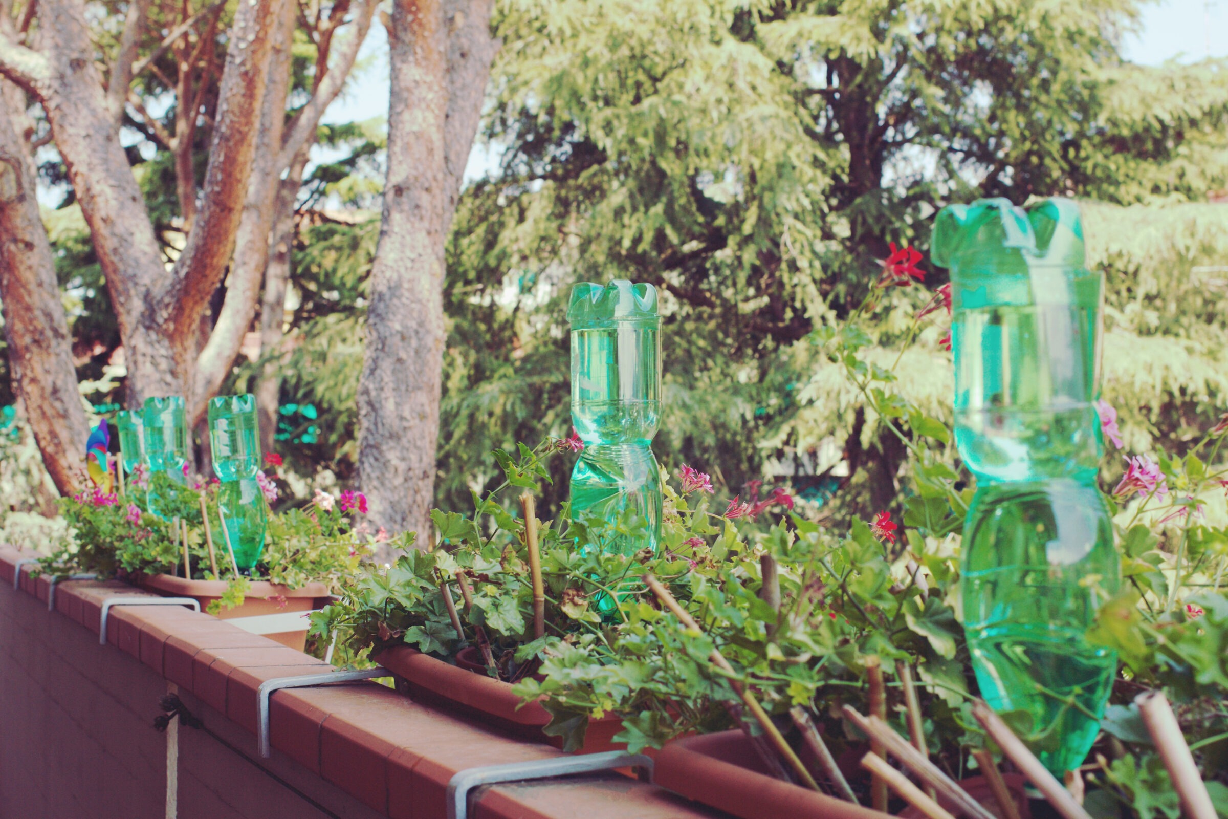 Plastic bottles for watering flowers on the balcony as irrigation system