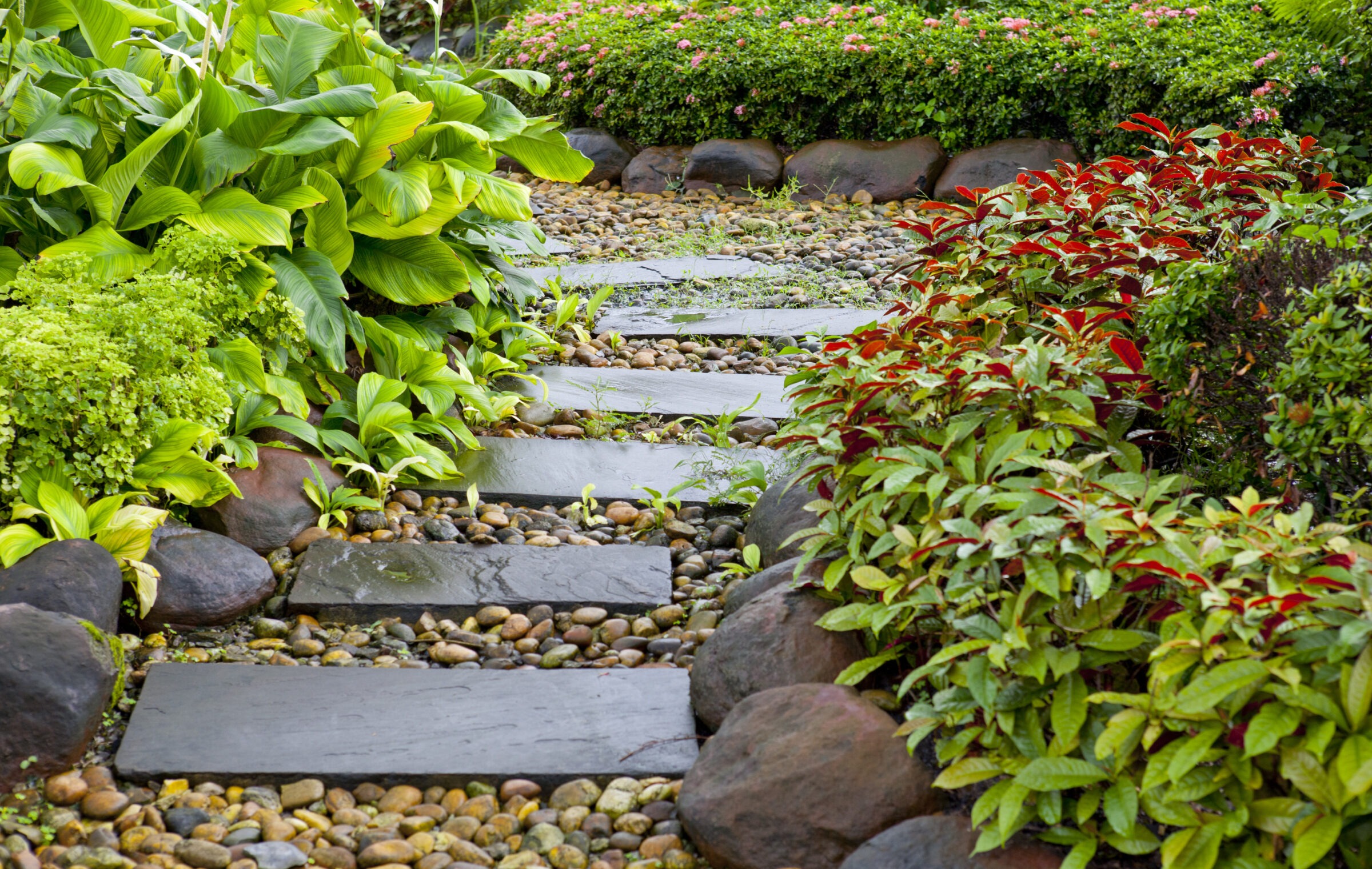 Lush garden pathway made of rectangular stone slabs set in a bed of smooth river pebbles, bordered by vibrant green and red foliage, with large rocks and blooming shrubbery enhancing the tropical, natural aesthetic.