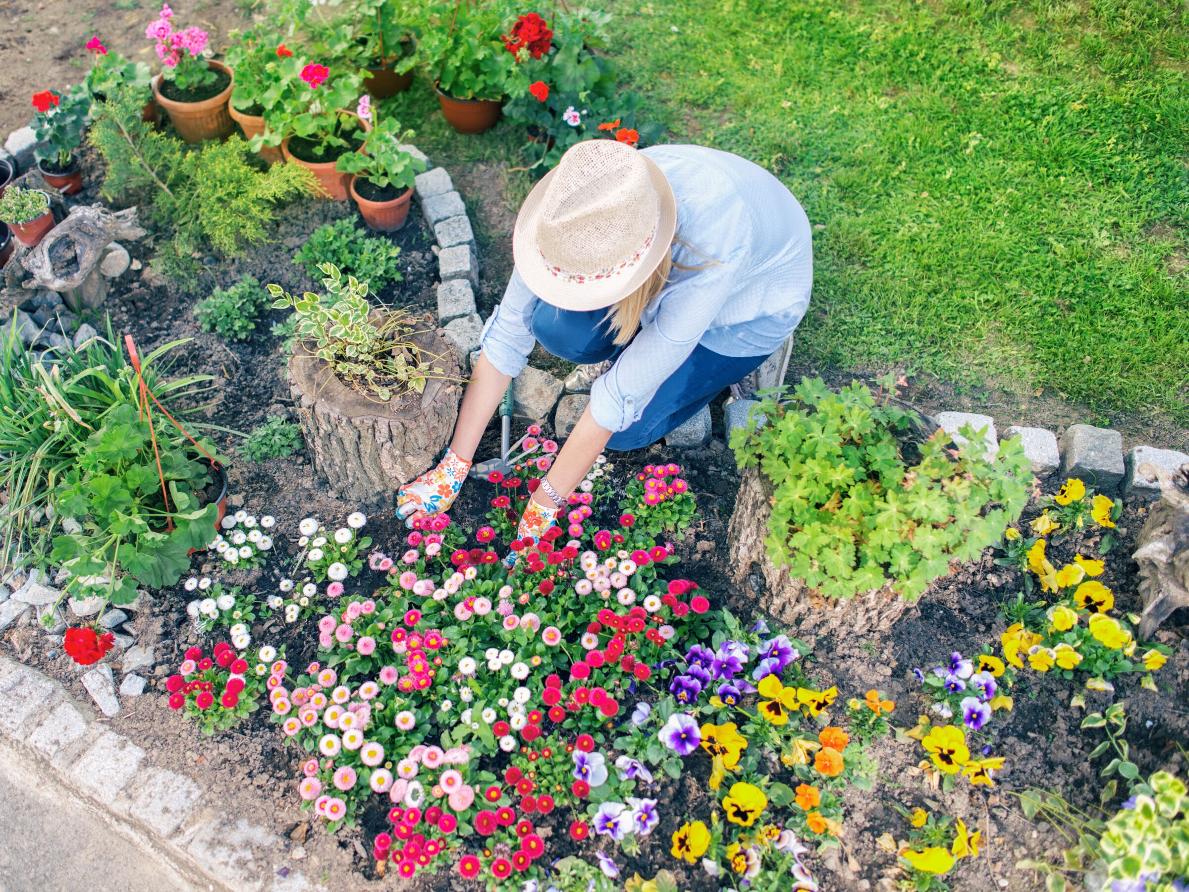 Overhead view of a woman wearing a straw hat and floral gloves tending to a vibrant flower bed, surrounded by colorful blooms including pansies, daisies, and geraniums, with potted plants and tree stumps integrated into the garden design.