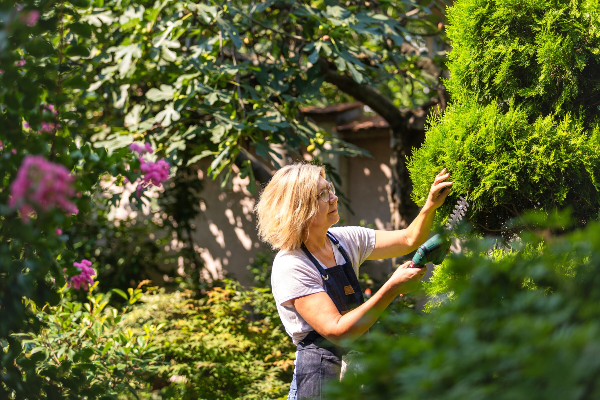 Woman with blonde hair and glasses using electric hedge trimmers to shape a tall evergreen shrub. She’s wearing a navy apron and working in a lush, sunlit garden surrounded by greenery and pink flowers.